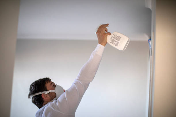 Best Best Mold Removal Companies  in Heyburn, ID