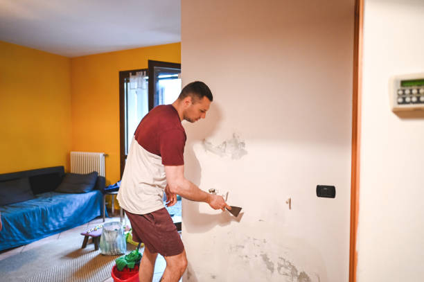 Best Mold Remediation Services  in Heyburn, ID